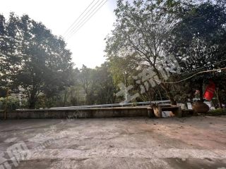 重庆巴南区280平方米农村宅基地使用权出租