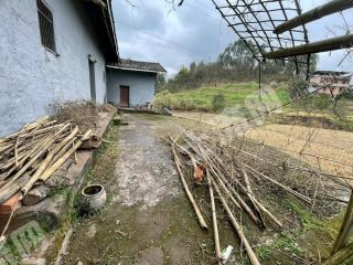 重庆璧山区140平方米农村宅基地使用权出租