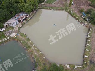 郫都区20亩鱼塘农场出租