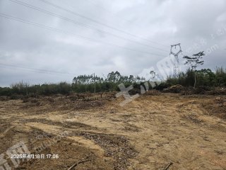 惠州惠东县250亩水浇地经营权出租
