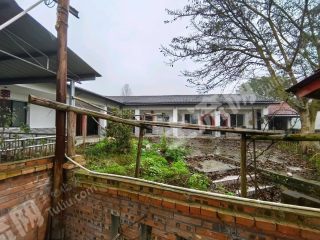 重庆长寿区152亩水浇地经营权出租