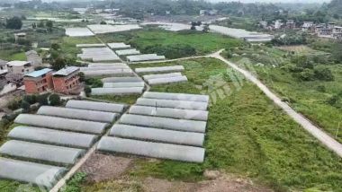 重庆璧山区280亩水浇地经营权出租