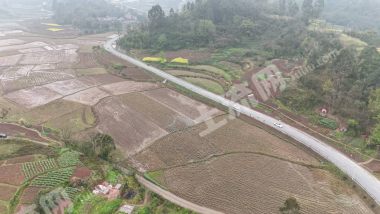 重庆长寿区200亩水浇地经营权出租
