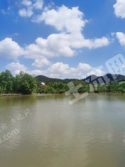 湖州長(zhǎng)興縣3畝竹林帶房子出售，有山有水，景區(qū)附近，安靜，適合禪修