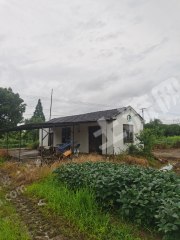 湖州長(zhǎng)興縣1畝農(nóng)村宅基地使用權(quán)出租