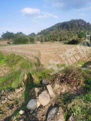 重慶璧山區(qū)275畝水澆地經(jīng)營權(quán)出租