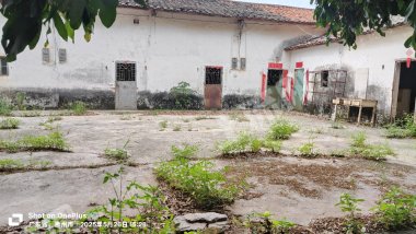 惠州惠城區(qū)江邊150平農(nóng)家小院出租