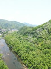 湖州安吉縣40畝農(nóng)村宅基地招商/包三通/包辦一切手續(xù)