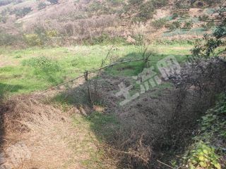 重慶北碚區(qū)150平方米農(nóng)村宅基地使用權(quán)出租