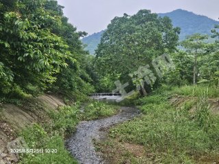 惠東縣梁化鎮(zhèn)溪邊20畝園地經(jīng)營(yíng)權(quán)出租