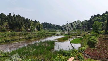 重庆潼南区50亩虾塘经营权出租