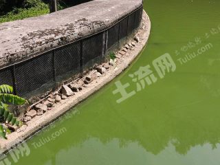 重庆巴南区145亩农场使用权转让