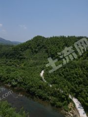 湖州安吉县50亩农村宅基地使用权转让可经营