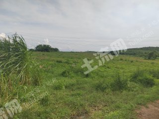 海南儋州500亩旱地经营权出租