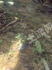 江门恩平市110平方米农村宅基地使用权流转