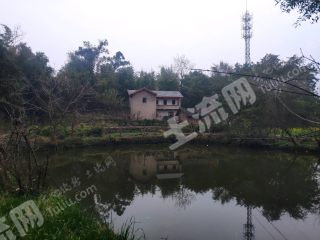 重庆北碚区200平方米农村宅基地使用权出租