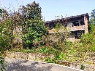 重庆北碚区150平方米农村宅基地使用权出租
