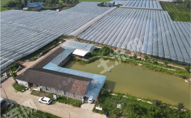 大邑安仁主干道旁124亩成熟农庄整体对外转让