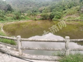 重庆九龙坡区40亩农场使用权转让