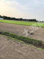 南沙22亩草皮地经营权转让