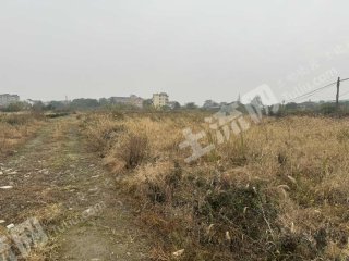 杭州西湖区60亩旱地经营权出租