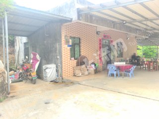 惠州惠阳半山小院带菜地果园出租