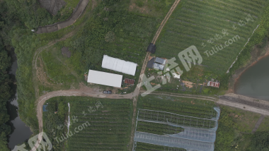 浙江宁波象山80亩蓝莓园经营权出租