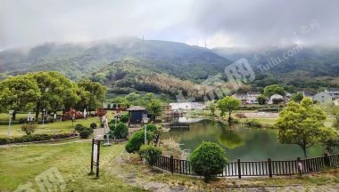 宁波北仑区25亩园地经营权出租