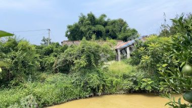 蒲江县 700平方米农家小院使用权转让