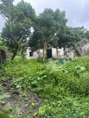 海口美兰区200亩工业用地使用权转让