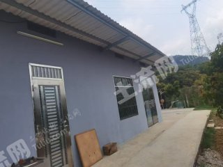 惠州市周边3亩农家庭院带鱼塘果园转让
