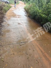 海南琼海市35亩其它林地经营权转包