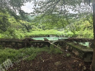 惠州镇隆50亩山泉水果园经营权出租