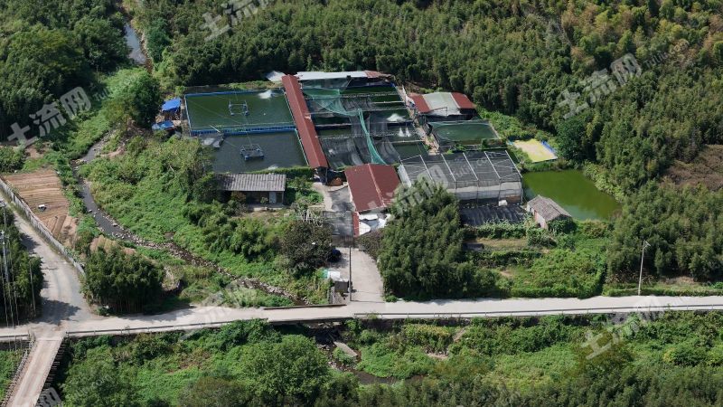 宁波奉化区10亩鱼塘经营权转让