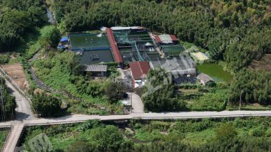 宁波奉化区10亩鱼塘经营权转让