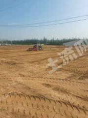 新乡卫辉市30亩水浇地经营权出租XX1931