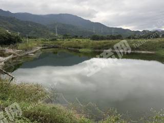 惠东8亩田边农场带活水鱼塘出租