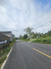 惠东县城乡道边830平米乡村厂房出租