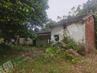 惠州10亩农场带瓦房及鱼塘出租