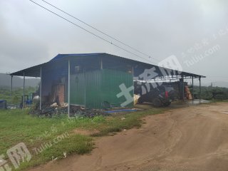 海南万宁市80亩榴莲果园经营权转让