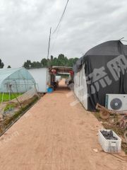 仁寿龙马60亩蔬菜大棚经营权转让