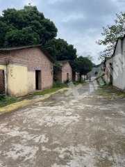 大邑近郊240平米养殖舍出租