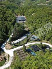 重庆巫山3000平方米厂房使用权转让