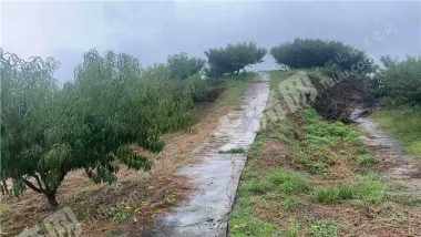 重庆合川区100亩水浇地经营权转让