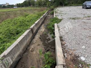 惠州市路边35亩菜地出租