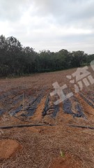 海南万宁市60亩其它林地经营权转让