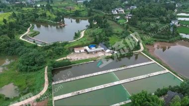 重庆 大足区 260亩 农场 使用权出租