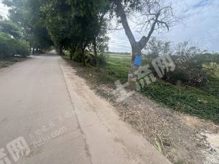 3.5亩路边耕地出租