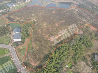 彭山与新津交界处附近60亩荒山地流转