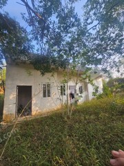 惠东县近高铁独立7亩果园带房出租